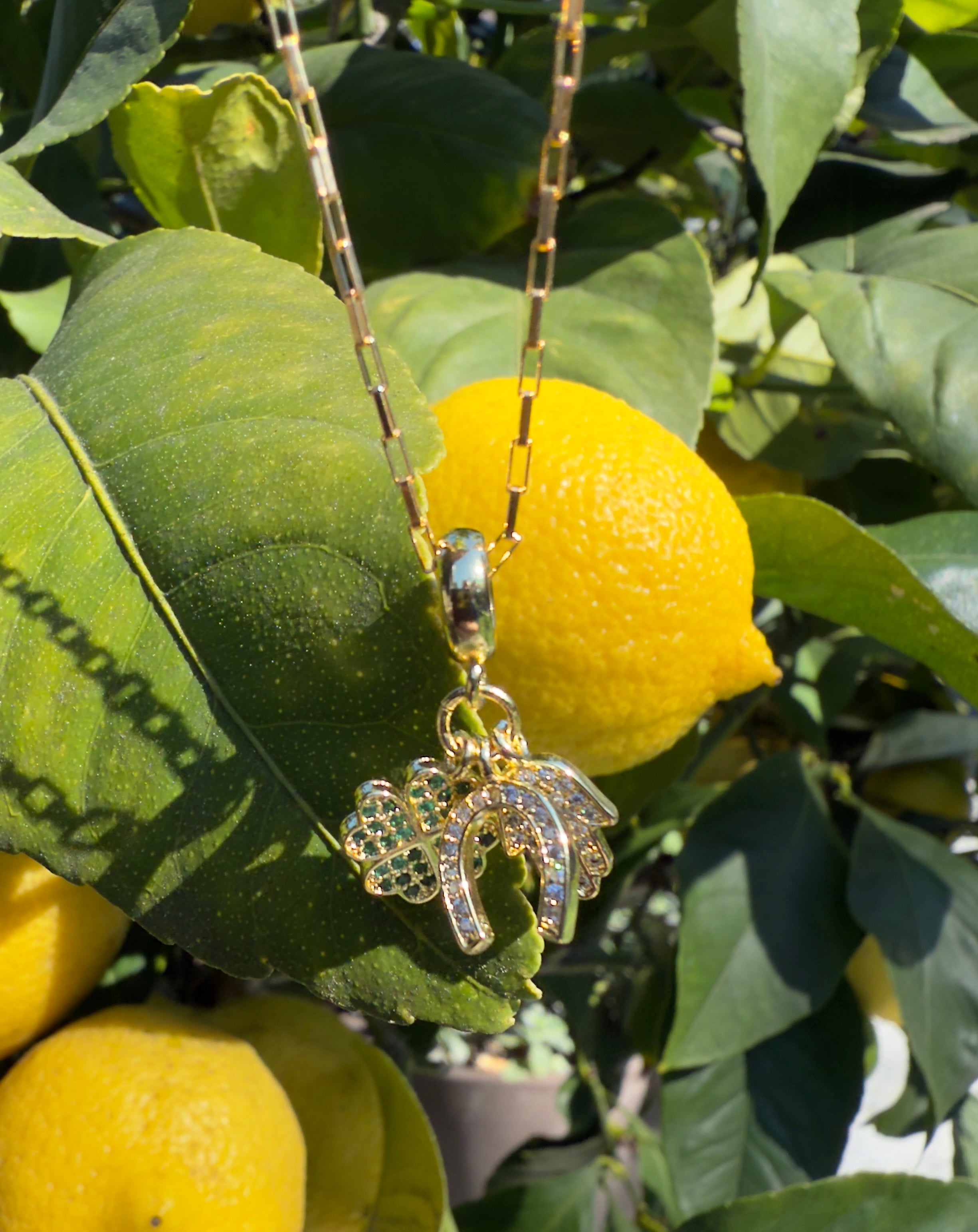 The Patty -  Lucky Multi-Charm and Venetian Box Necklace