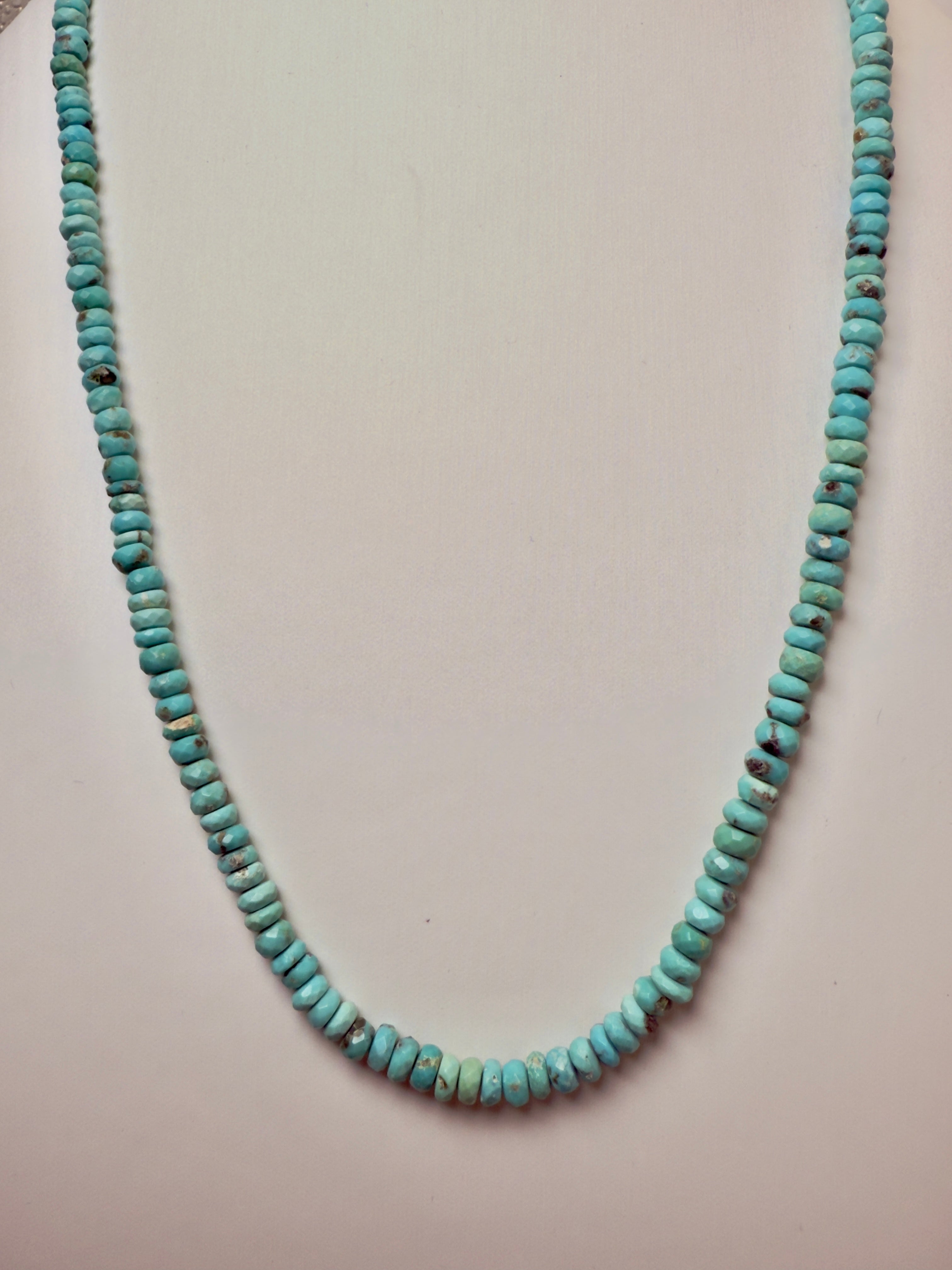 The Judy Turquoise Carabiner Necklace