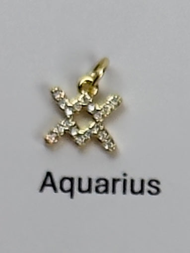 Zodiac Sign Charm Necklace