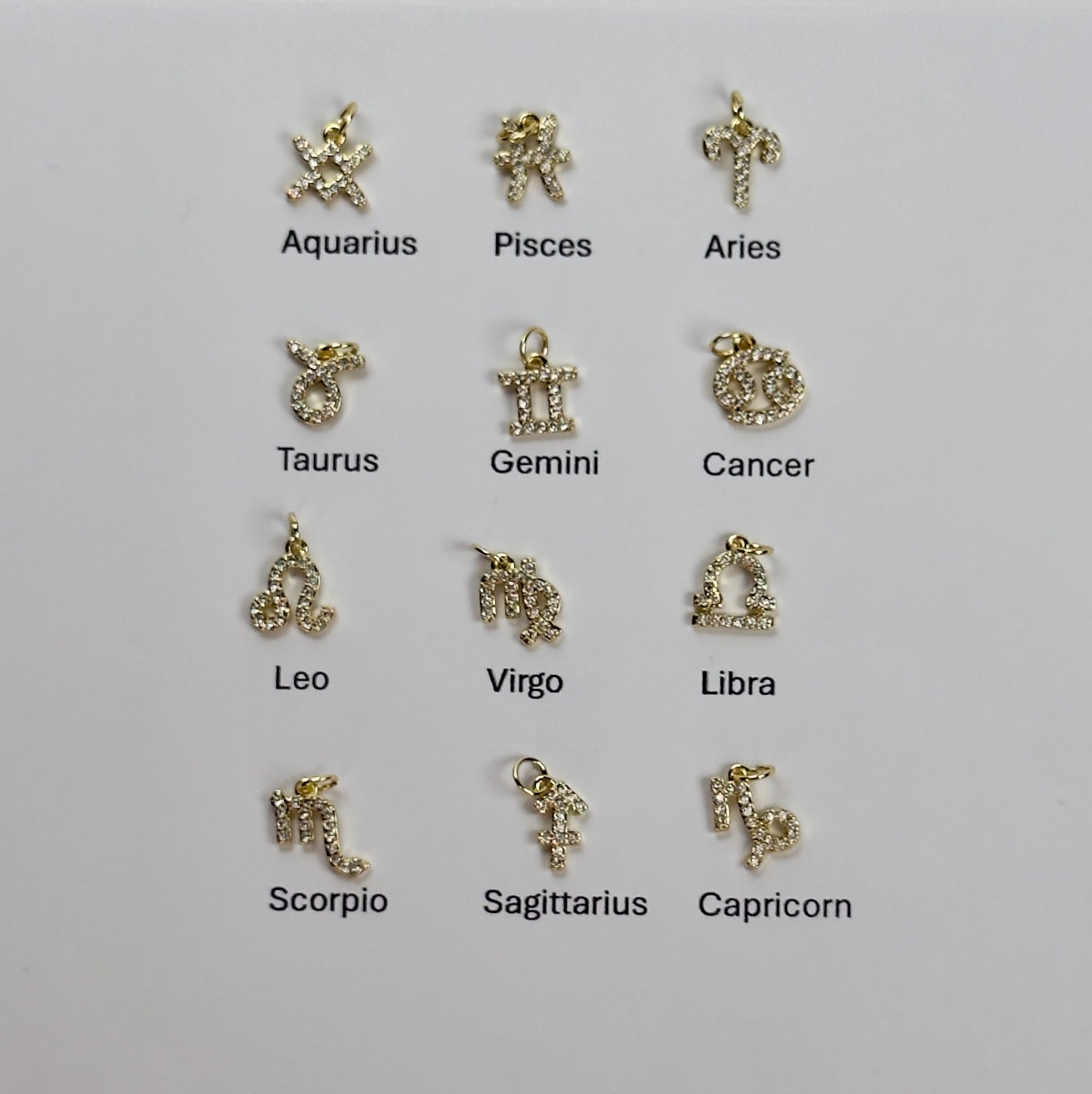 Zodiac Sign Charm Necklace