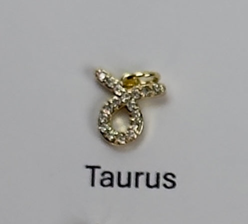 Zodiac Sign Charm Necklace
