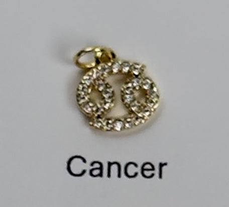 Zodiac Sign Charm Necklace
