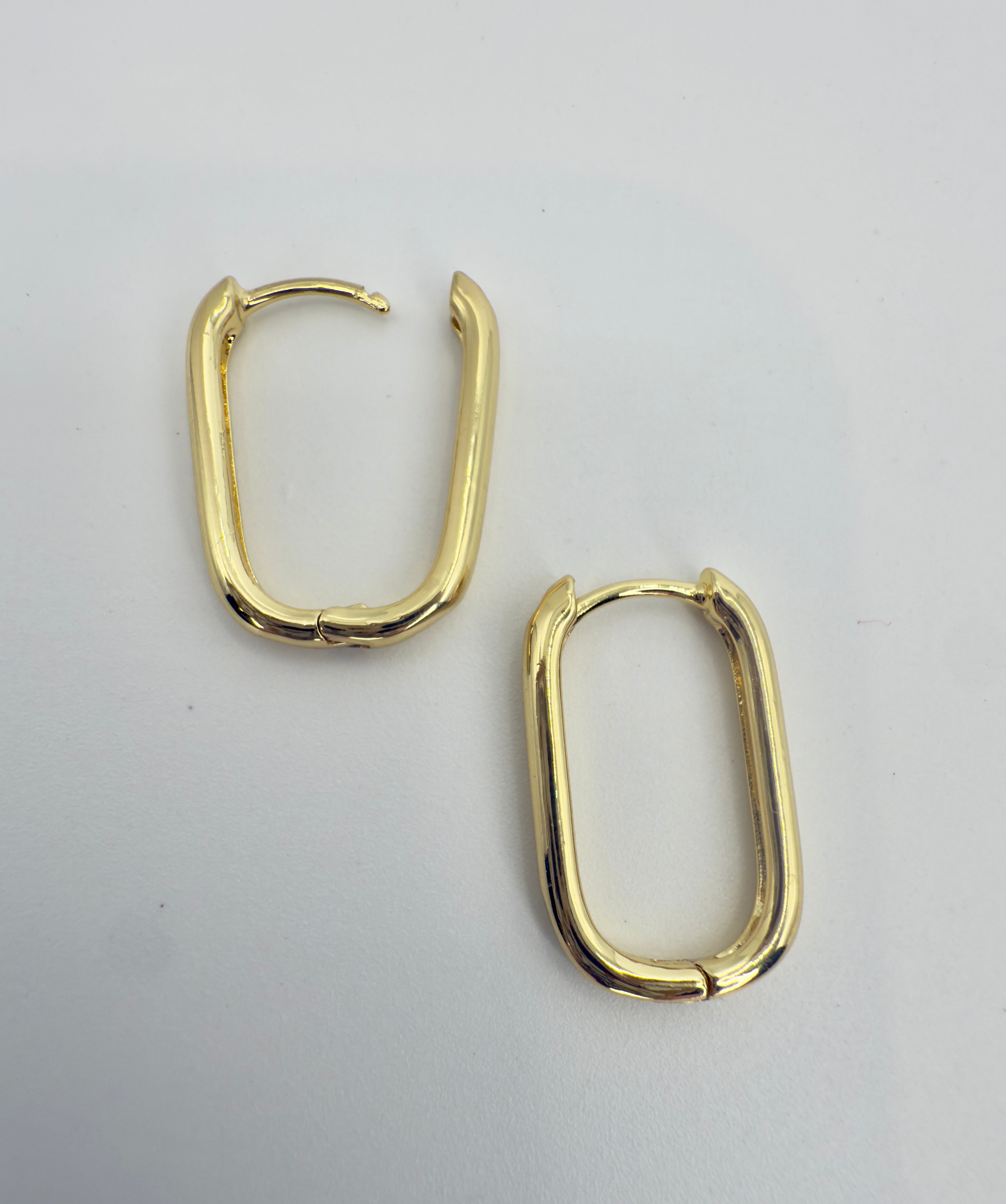 The Liz - Smooth Oval Huggie Earrings