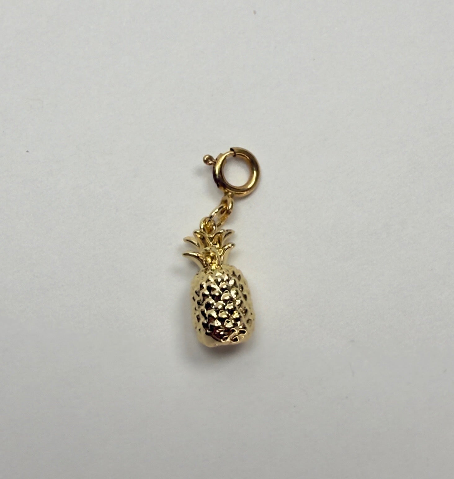 Pineapple or Palm Tree Charm of Choice