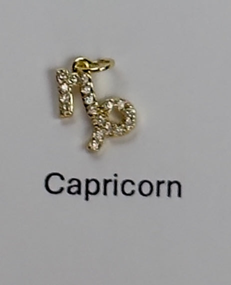 Zodiac Sign Charm Necklace